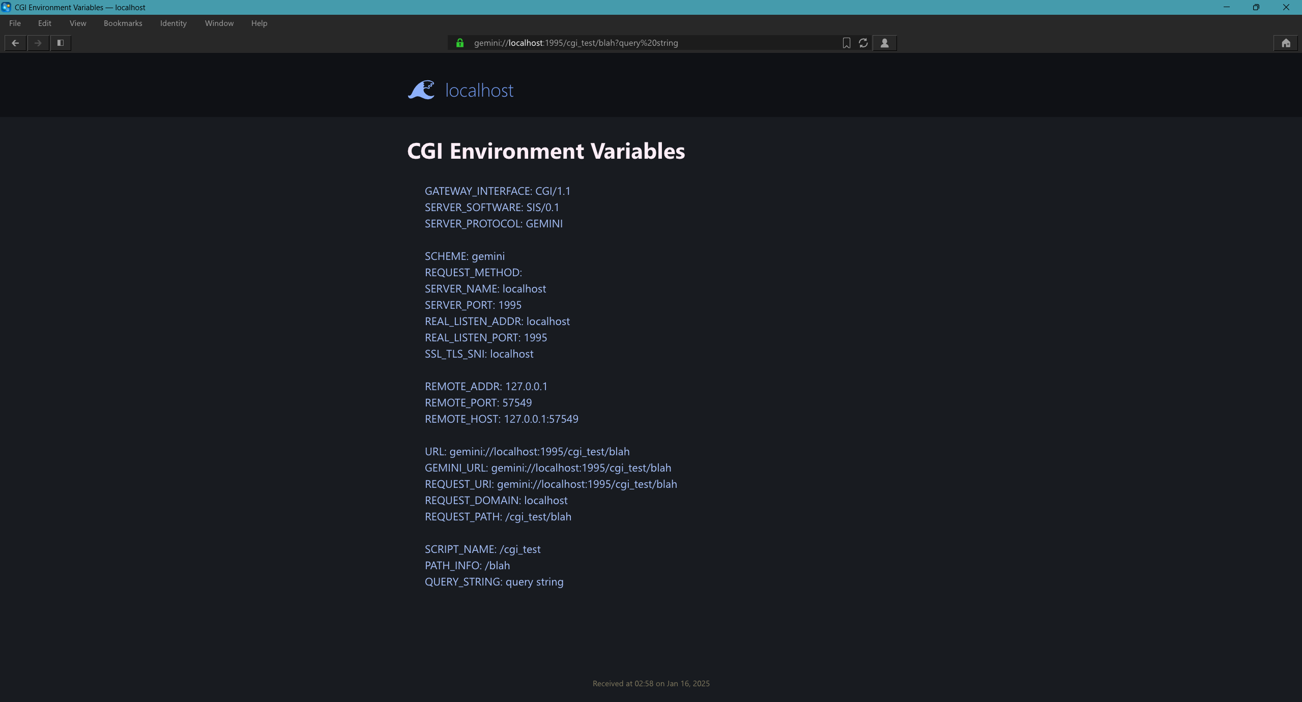 Gemini CGI Environment Variables